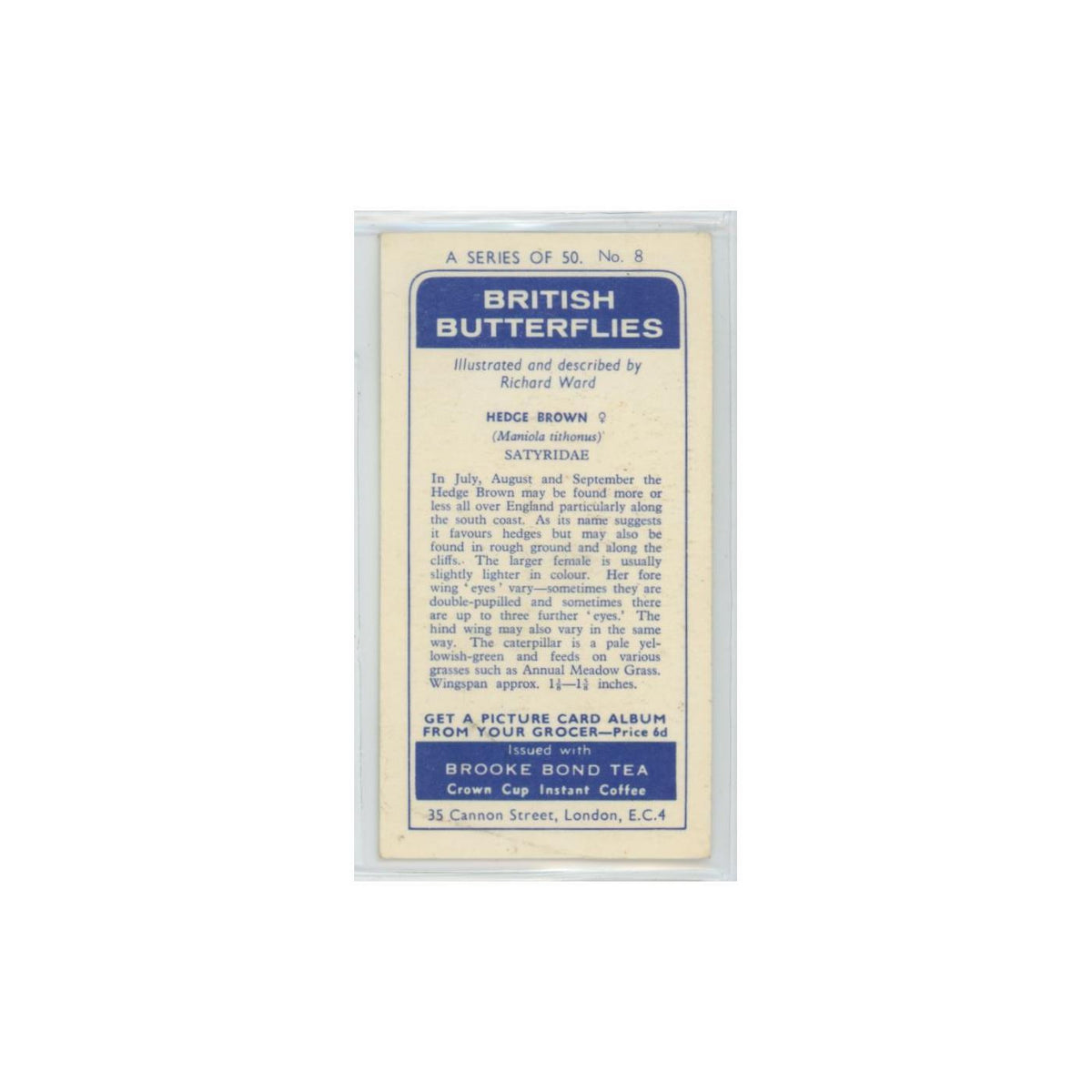 1963 Brooke Bond British Butterflies Hedge Brown #8