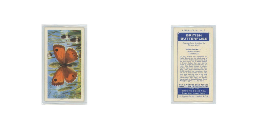 1963 Brooke Bond British Butterflies Hedge Brown #8