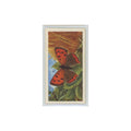 1963 Brooke Bond British Butterflies Small Copper #35