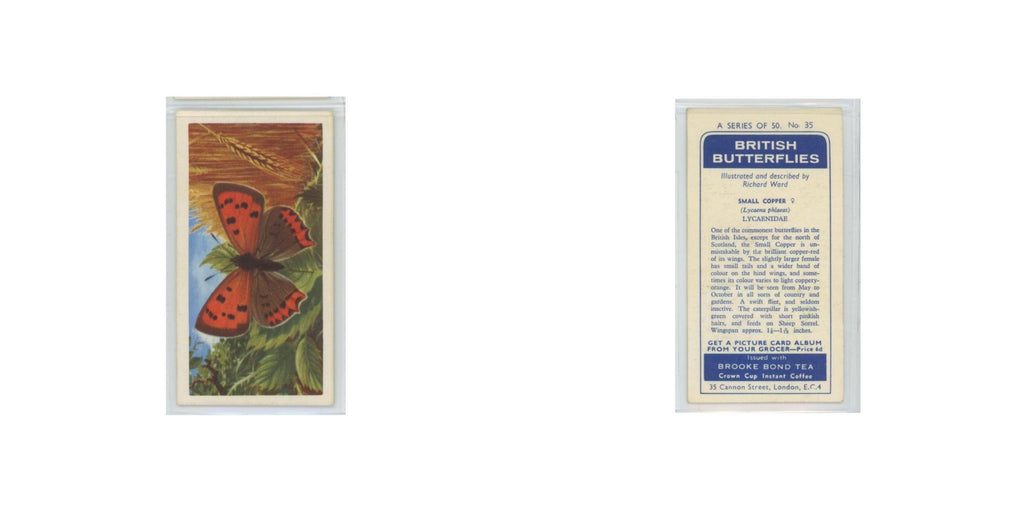 1963 Brooke Bond British Butterflies Small Copper #35
