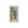 1962 Brooke Bond African Wildlife Coke's Hartebeest #31