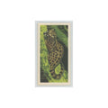 1962 Brooke Bond African Wildlife Genet #14