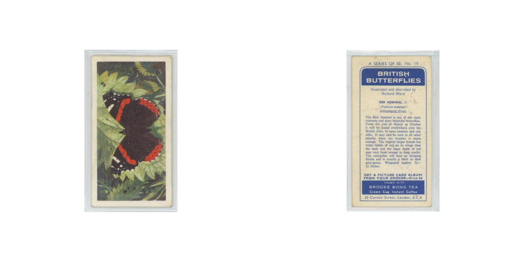 1963 Brooke Bond British Butterflies Red Admiral #19