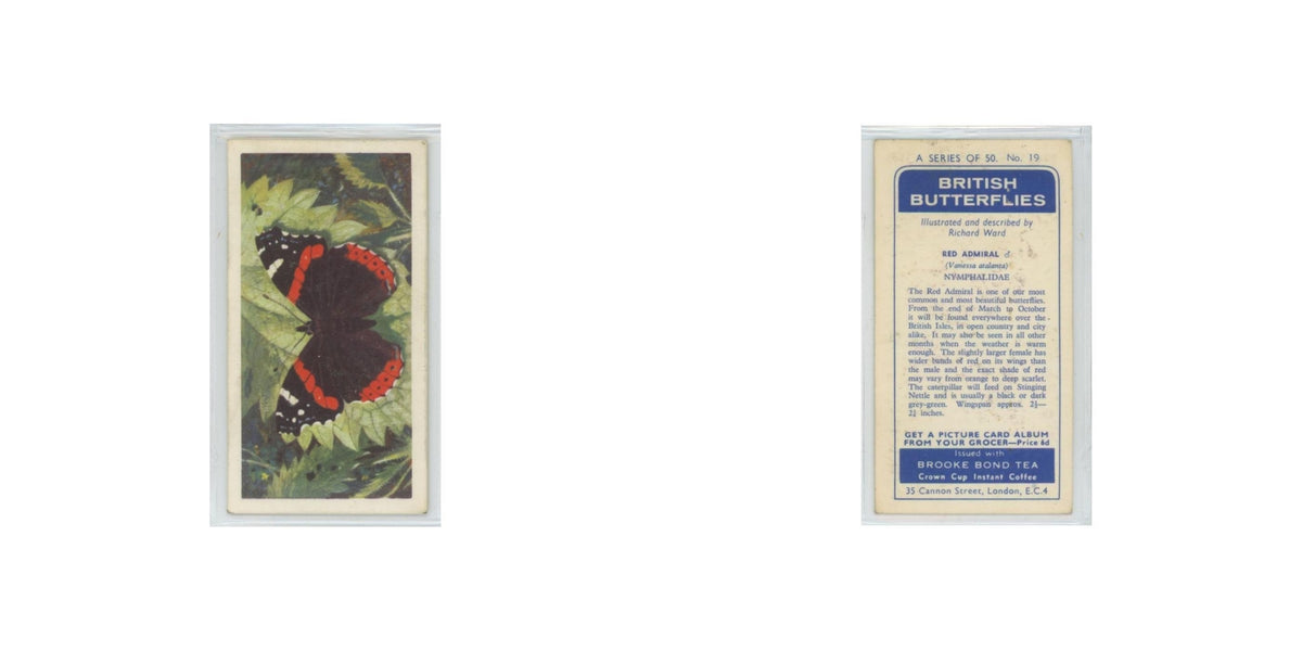 1963 Brooke Bond British Butterflies Red Admiral #19
