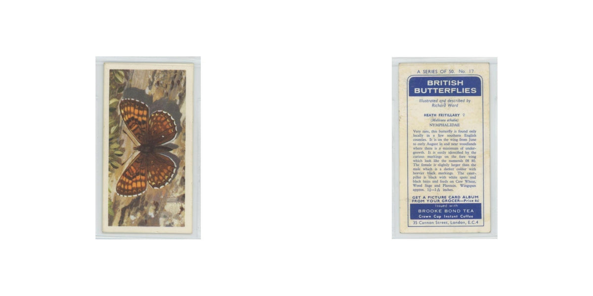 1963 Brooke Bond British Butterflies Heath Fritillary #17