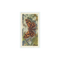 1963 Brooke Bond British Butterflies Chequered Skipper #48