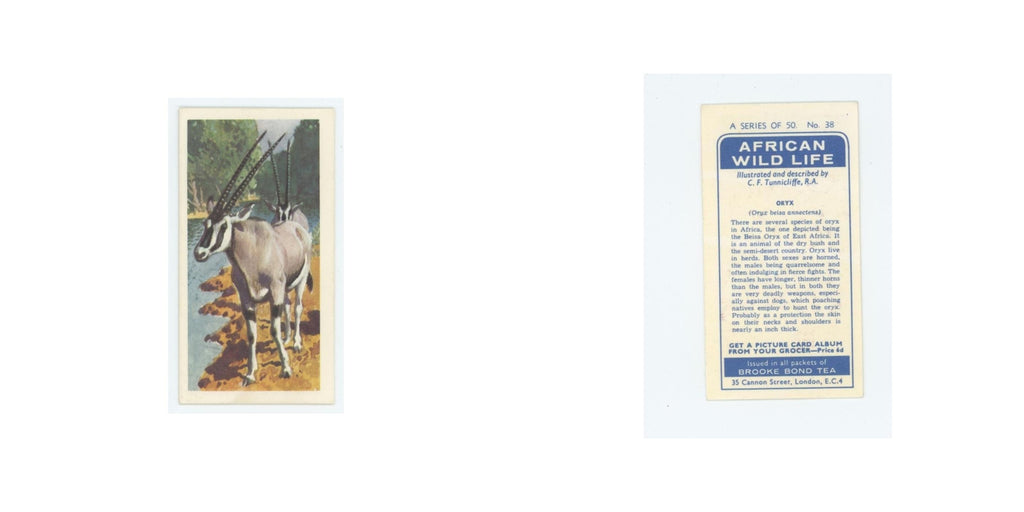 1962 Brooke Bond African Wildlife Oryx #38