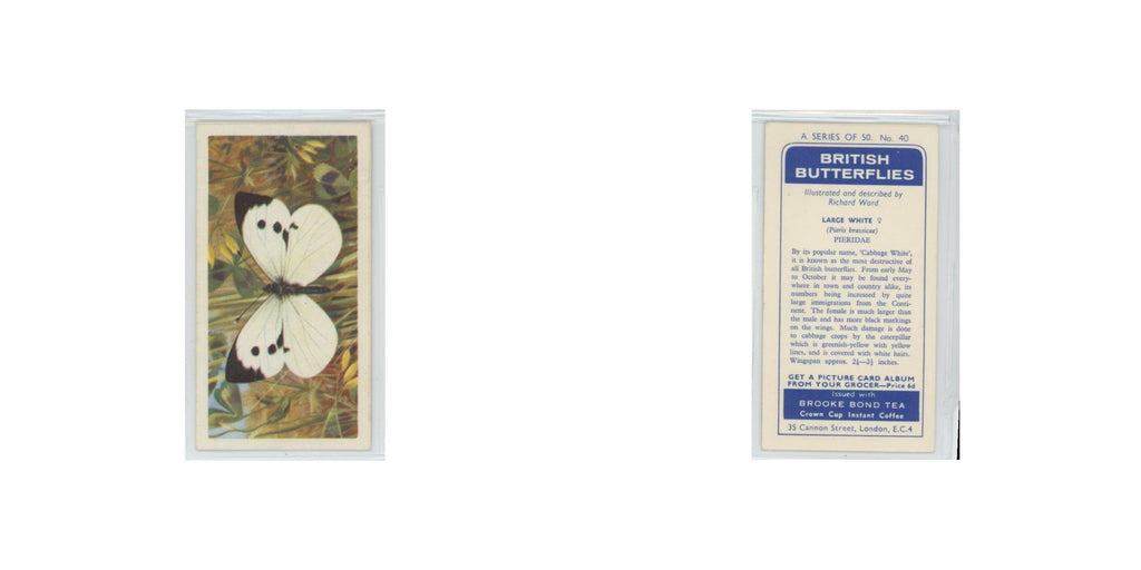 1963 Brooke Bond British Butterflies Large White #40