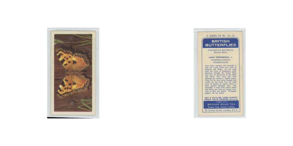 1963 Brooke Bond British Butterflies Large Tortoiseshell #22