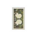 1963 Brooke Bond British Butterflies Wood White #39
