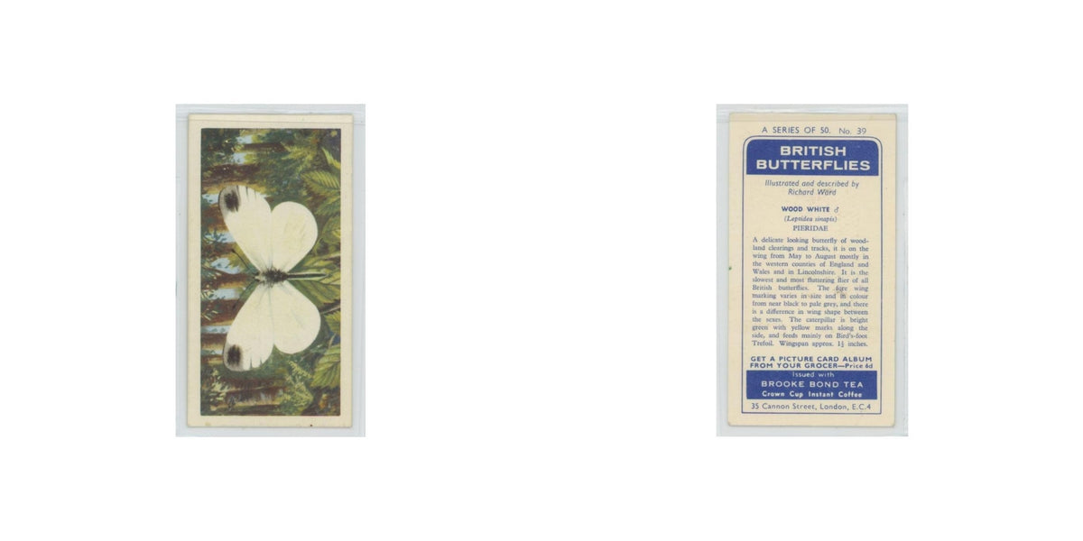 1963 Brooke Bond British Butterflies Wood White #39