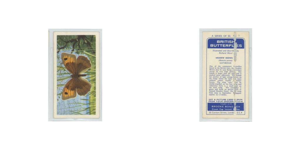 1963 Brooke Bond British Butterflies Meadow Brown #7