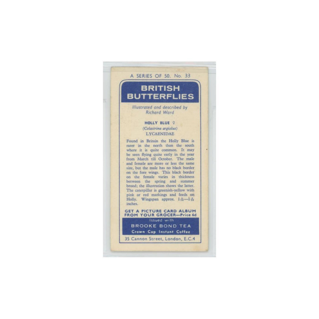 1963 Brooke Bond British Butterflies Holly Blue #33