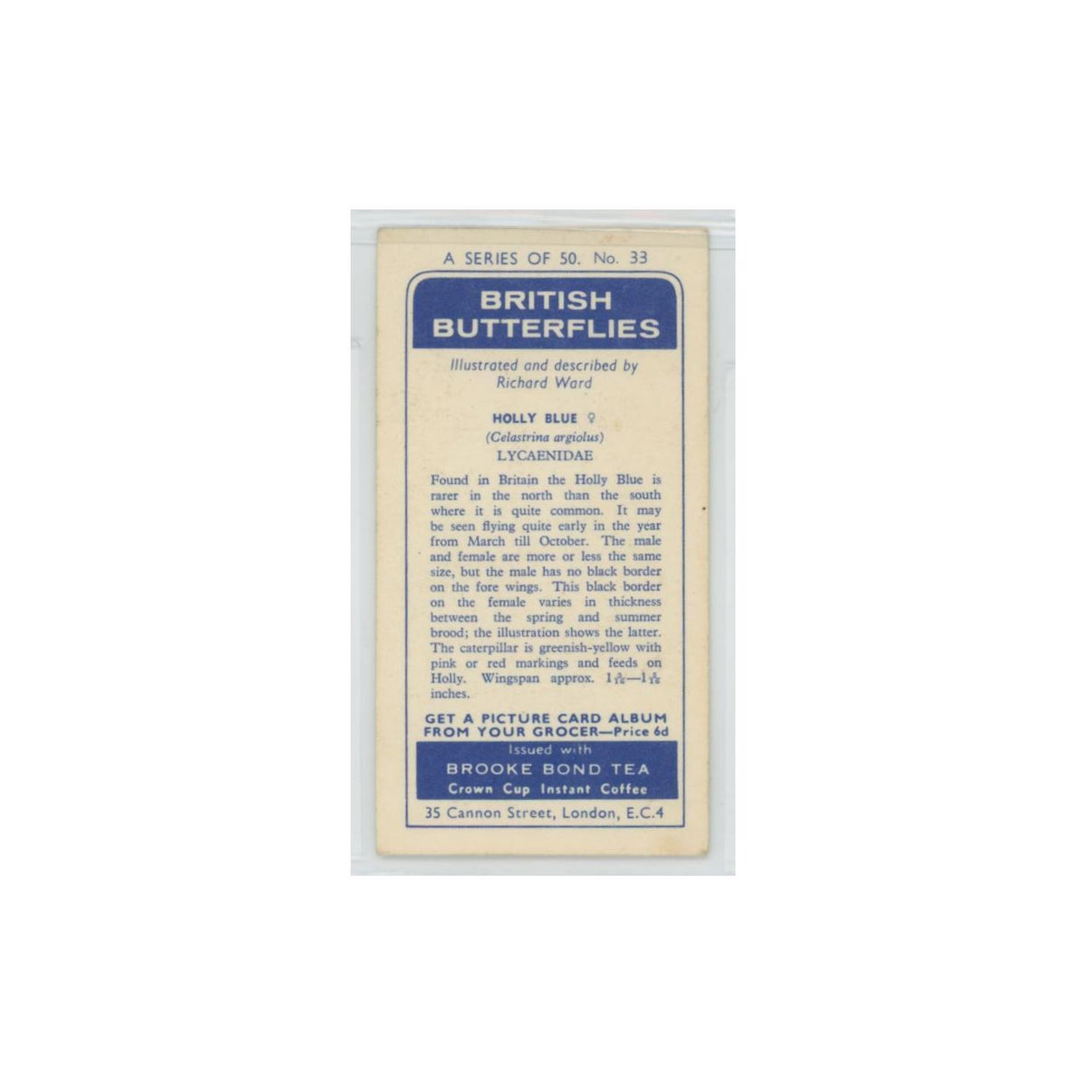 1963 Brooke Bond British Butterflies Holly Blue #33