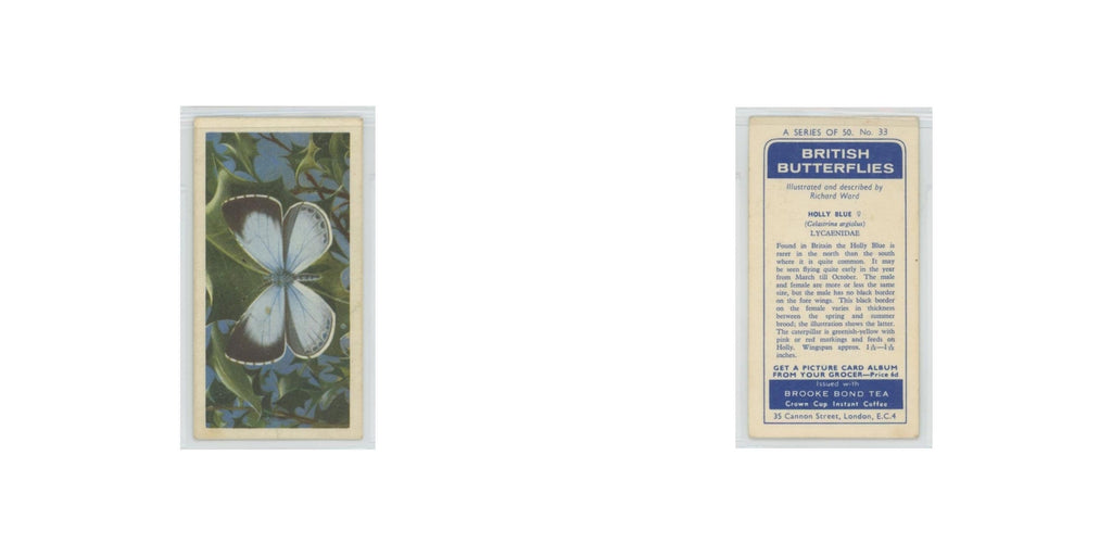 1963 Brooke Bond British Butterflies Holly Blue #33