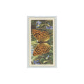 1963 Brooke Bond British Butterflies Silver Washed Fritillary #15