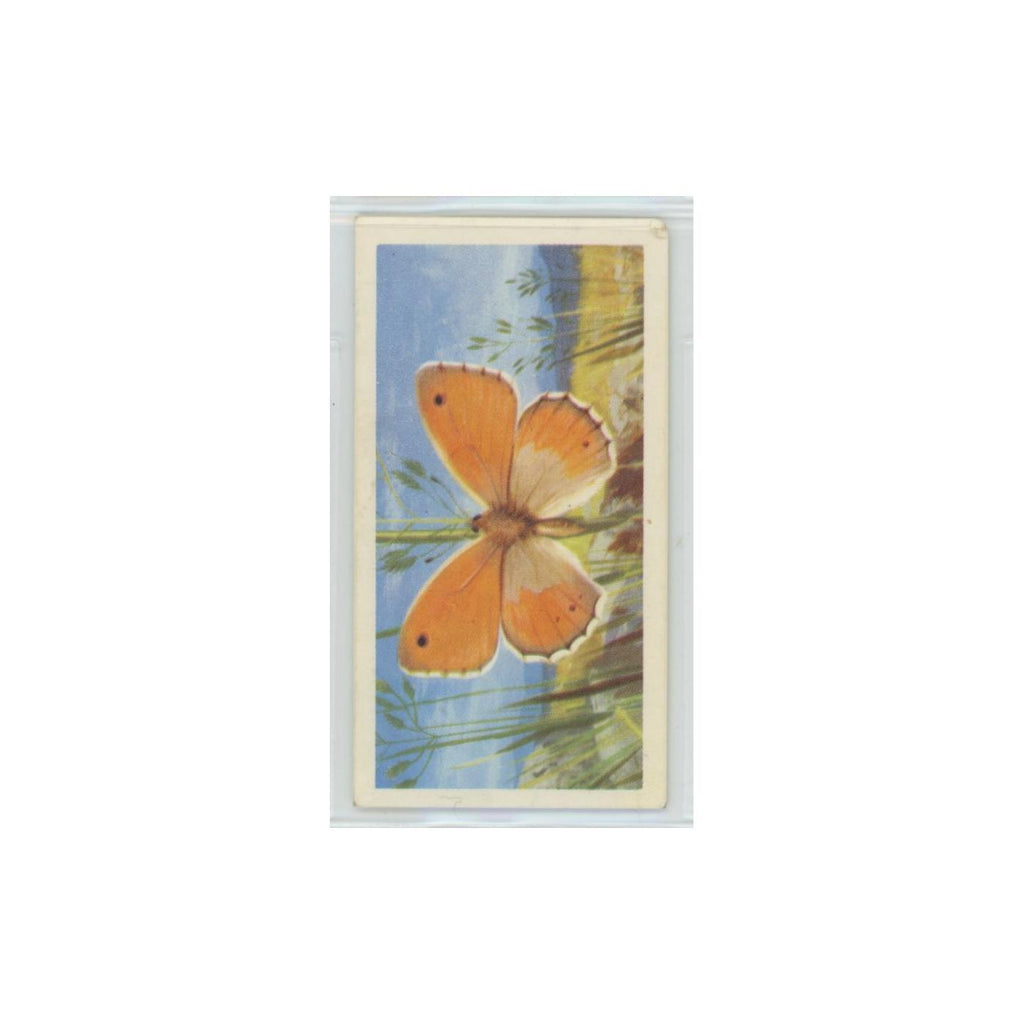 1963 Brooke Bond British Butterflies Small Heath #9