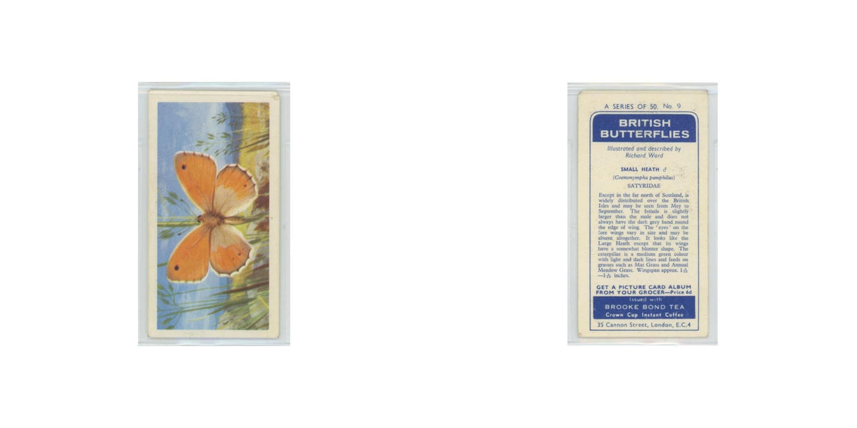 1963 Brooke Bond British Butterflies Small Heath #9
