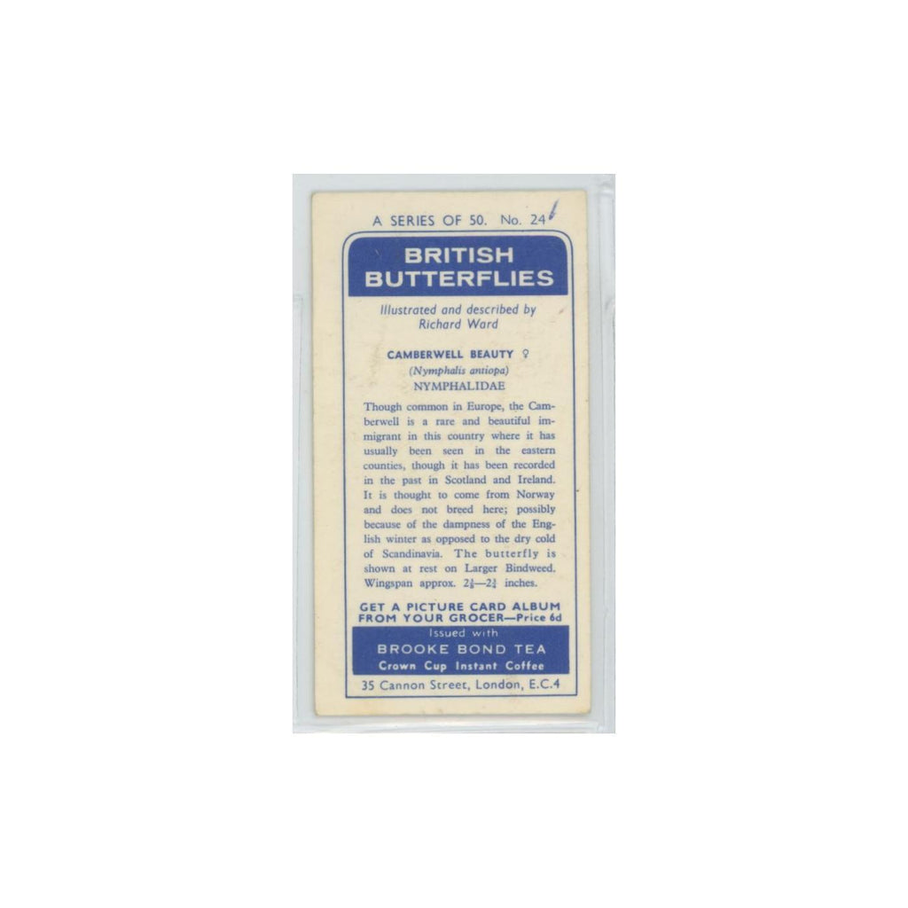 1963 Brooke Bond British Butterflies Camberwell Beauty #24