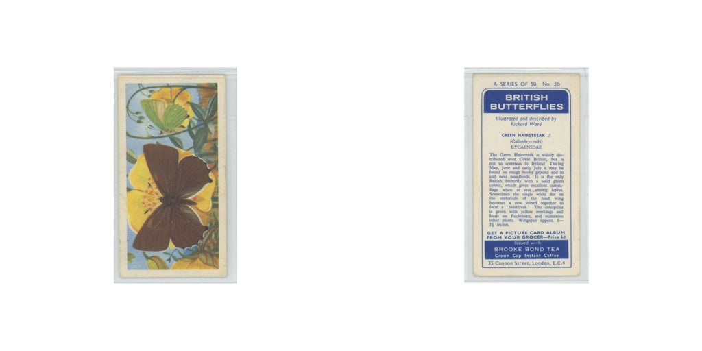 1963 Brooke Bond British Butterflies Green Hairstreak #36