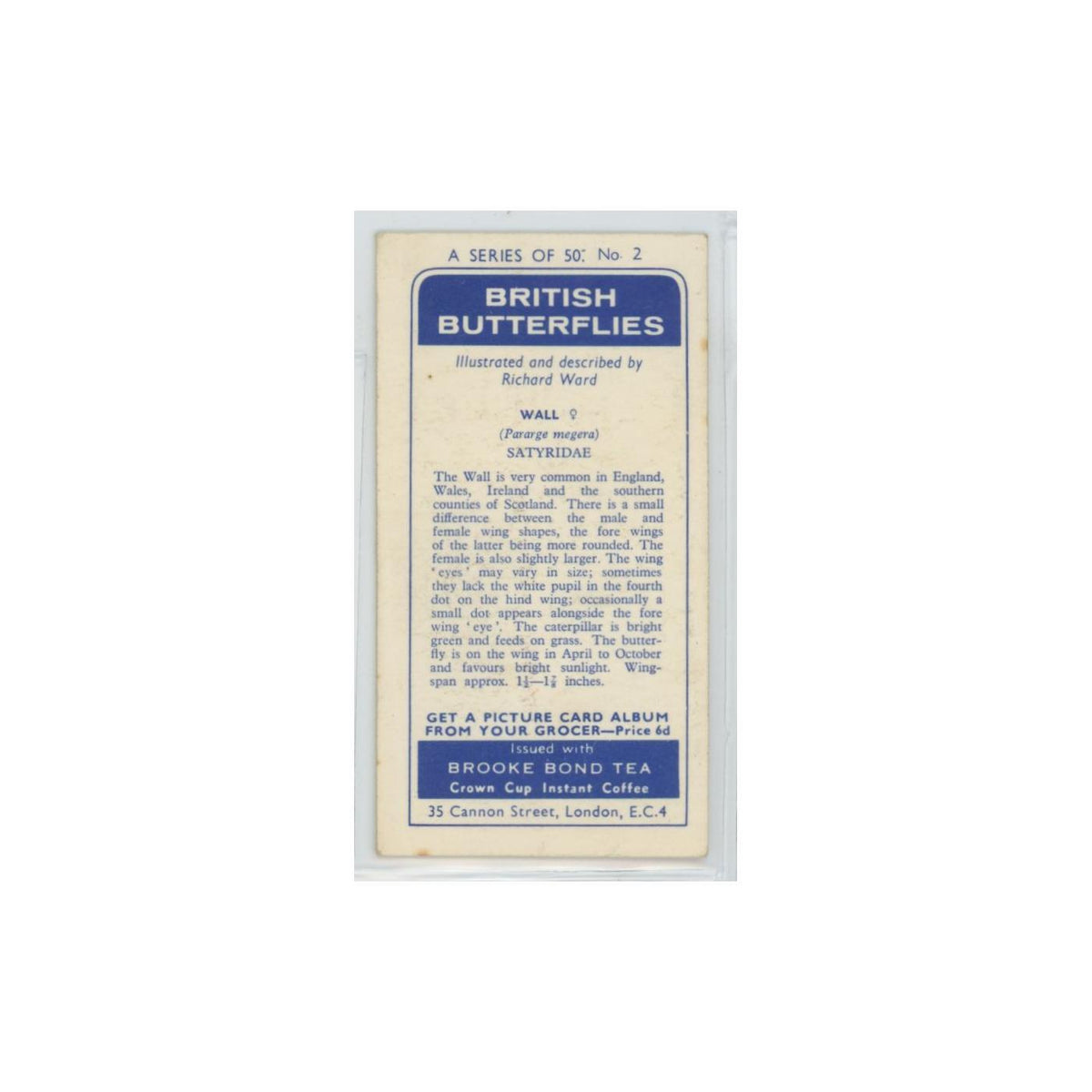1963 Brooke Bond British Butterflies Wall #2
