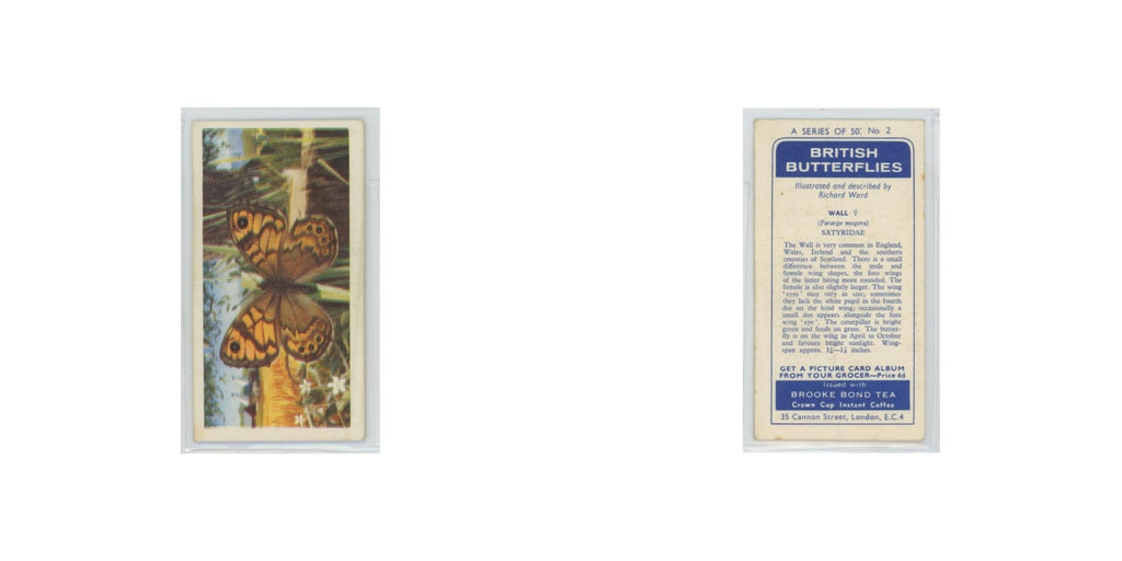 1963 Brooke Bond British Butterflies Wall #2