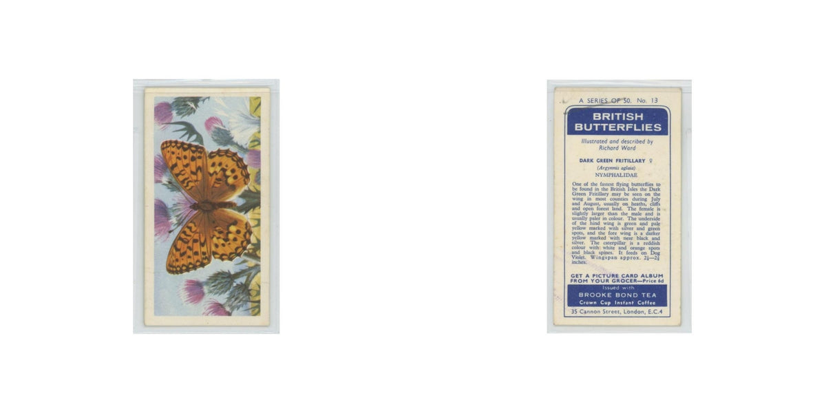 1963 Brooke Bond British Butterflies Dark Green Fritillary #13