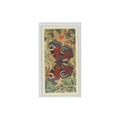 1963 Brooke Bond British Butterflies Peacock #23