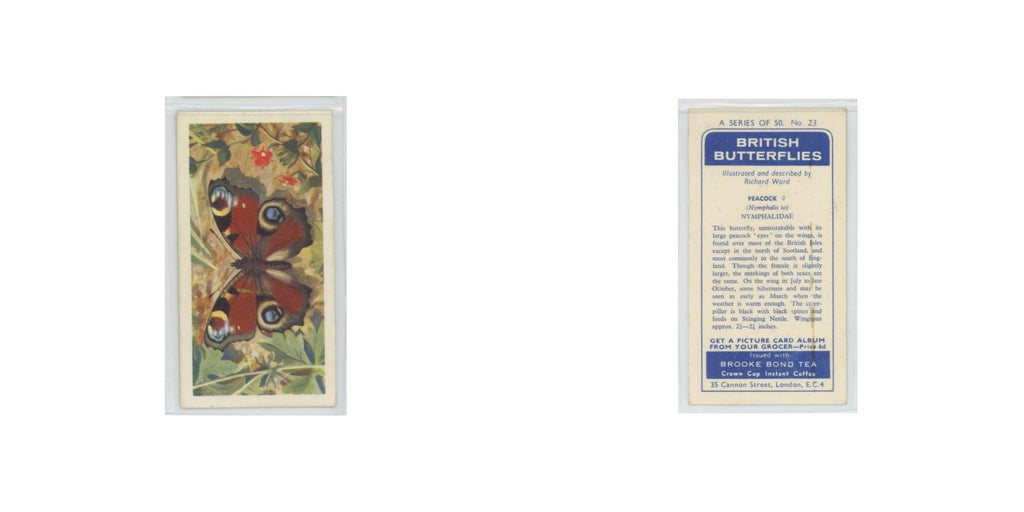 1963 Brooke Bond British Butterflies Peacock #23