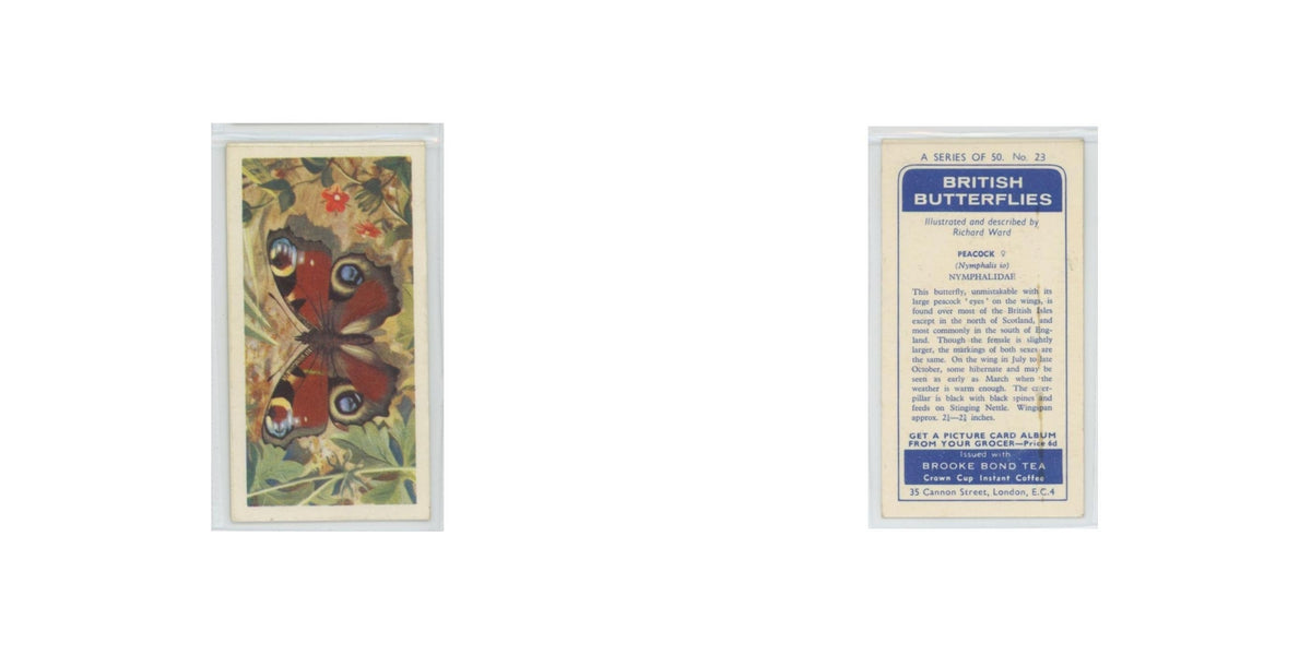 1963 Brooke Bond British Butterflies Peacock #23