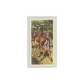 1962 Brooke Bond African Wildlife Impala #39