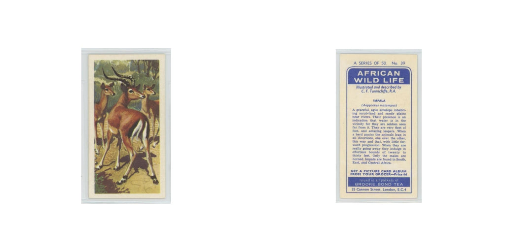 1962 Brooke Bond African Wildlife Impala #39