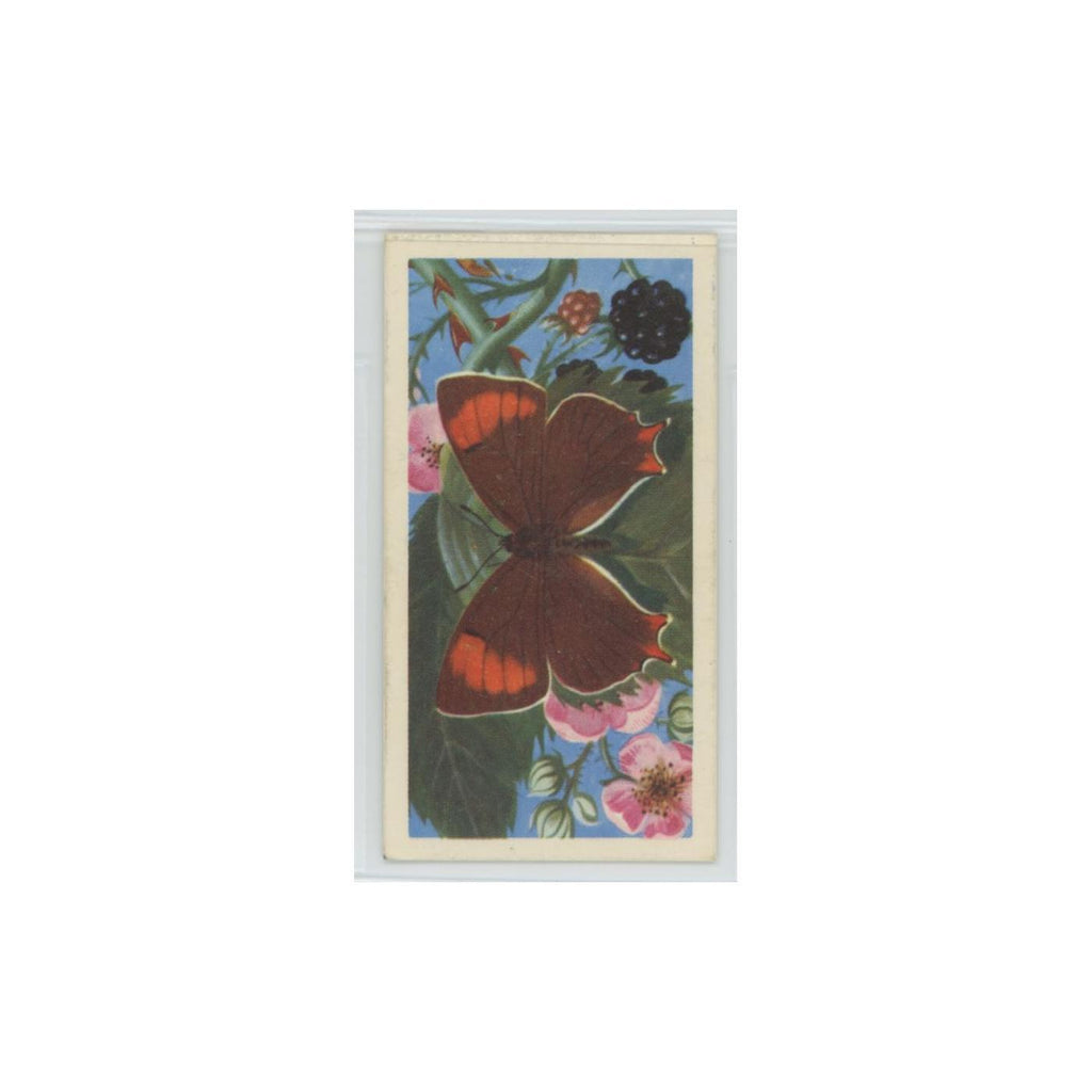1963 Brooke Bond British Butterflies Brown Hairstreak #37