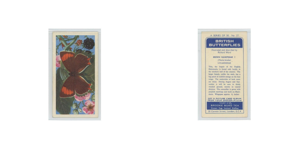 1963 Brooke Bond British Butterflies Brown Hairstreak #37