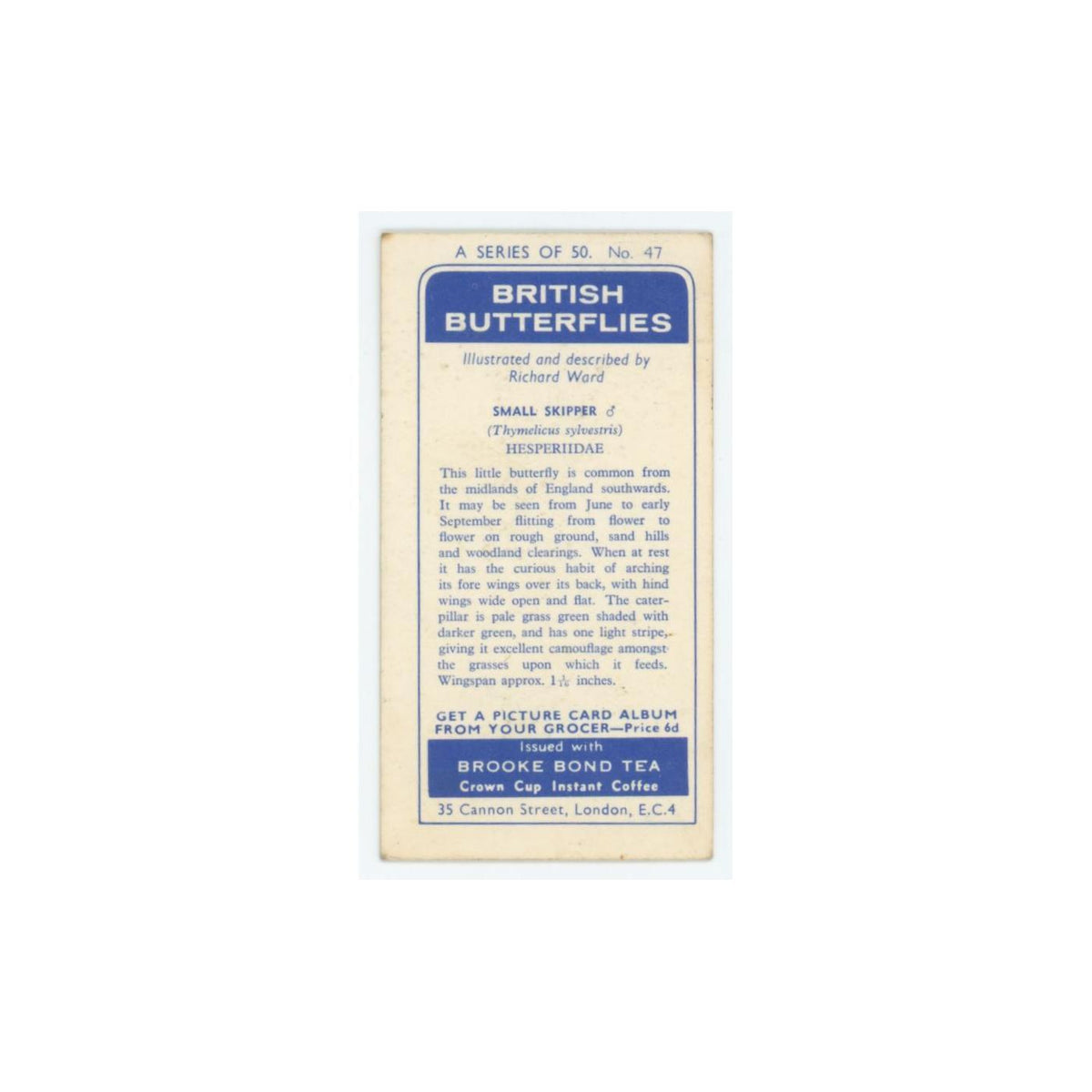 1963 Brooke Bond British Butterflies Small Skipper #47