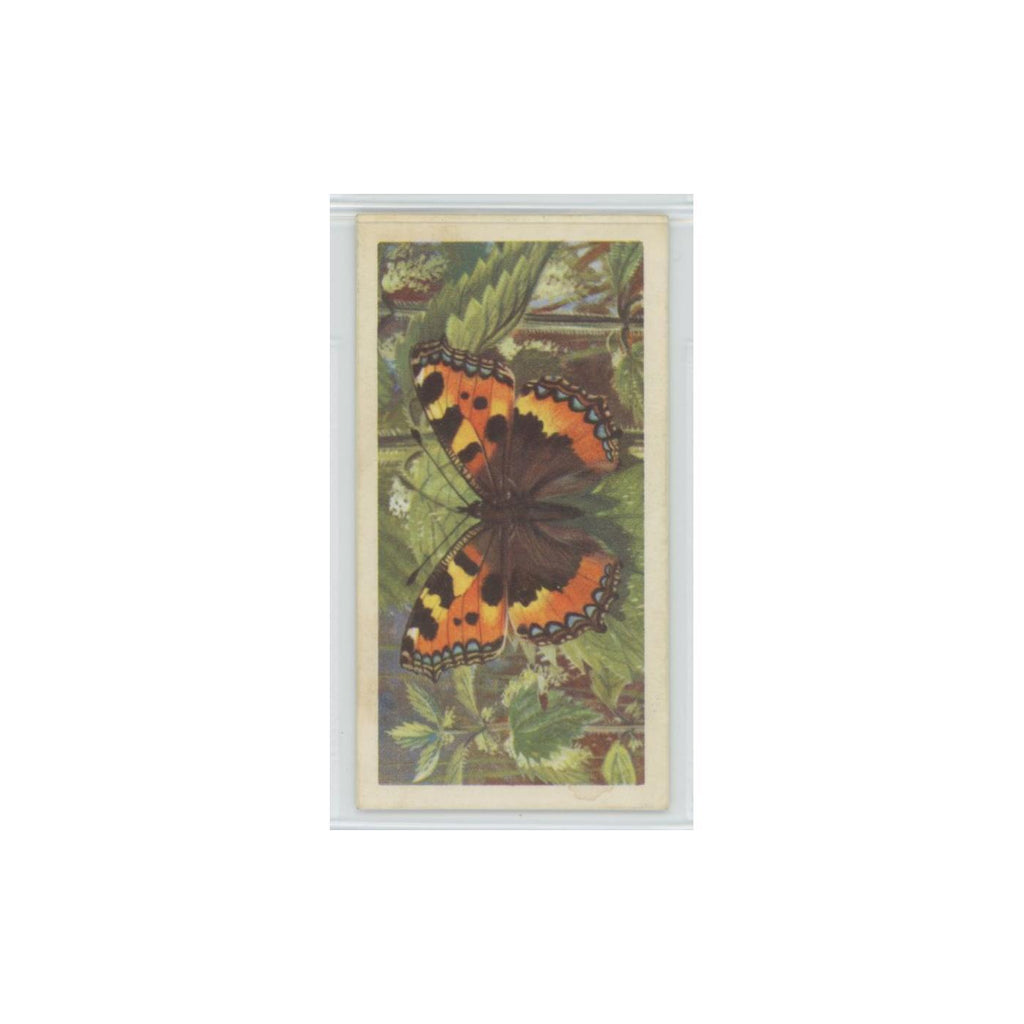 1963 Brooke Bond British Butterflies Small Tortoiseshell #21