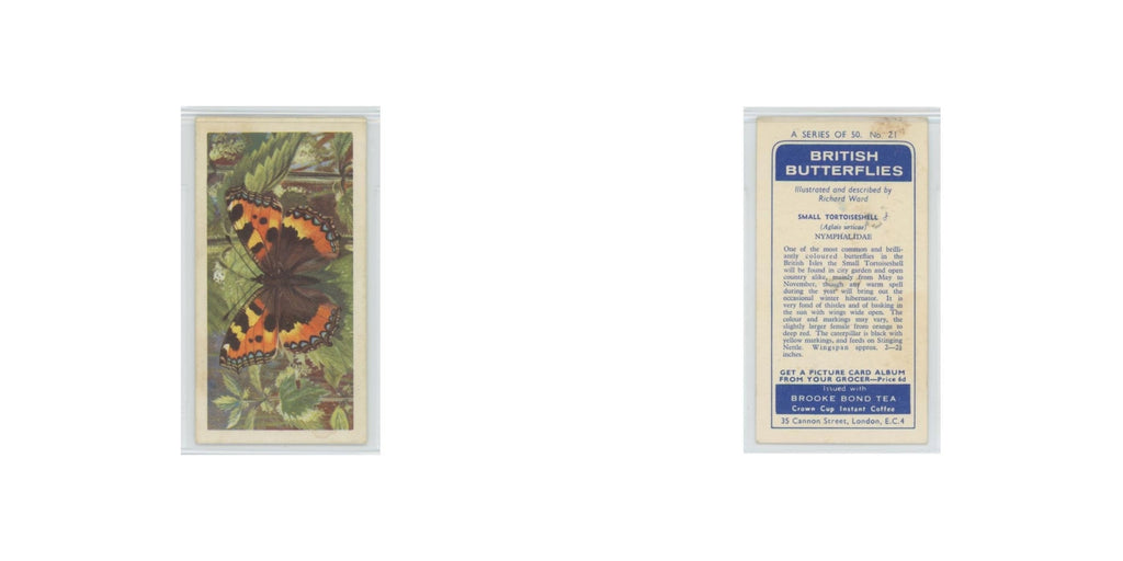 1963 Brooke Bond British Butterflies Small Tortoiseshell #21