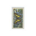 1963 Brooke Bond British Butterflies Swallow Tail #28