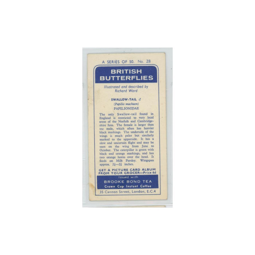1963 Brooke Bond British Butterflies Swallow Tail #28