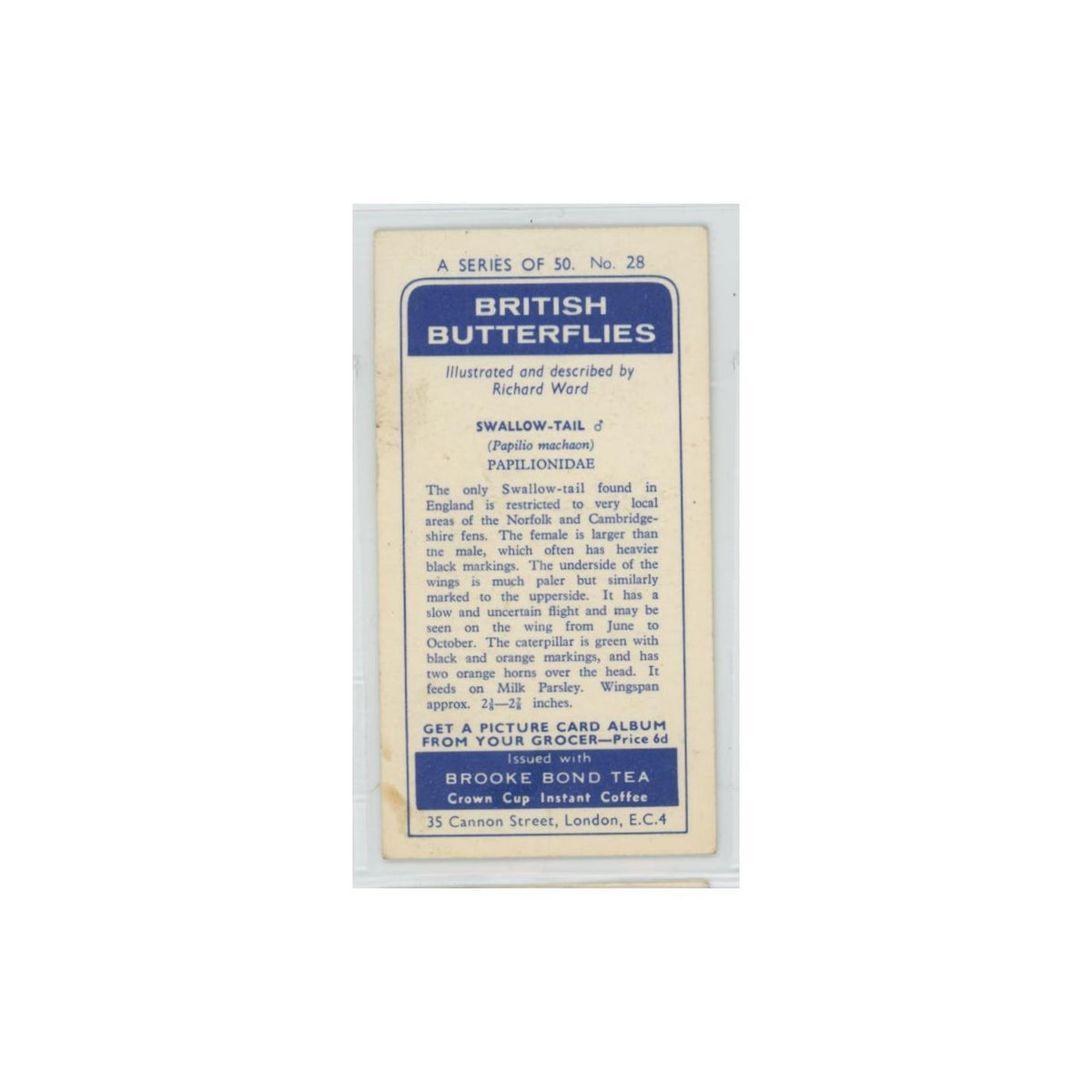 1963 Brooke Bond British Butterflies Swallow Tail #28