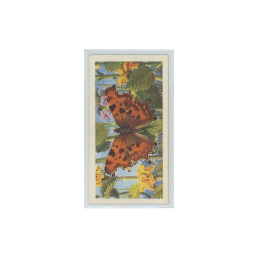 1963 Brooke Bond British Butterflies Comma #25