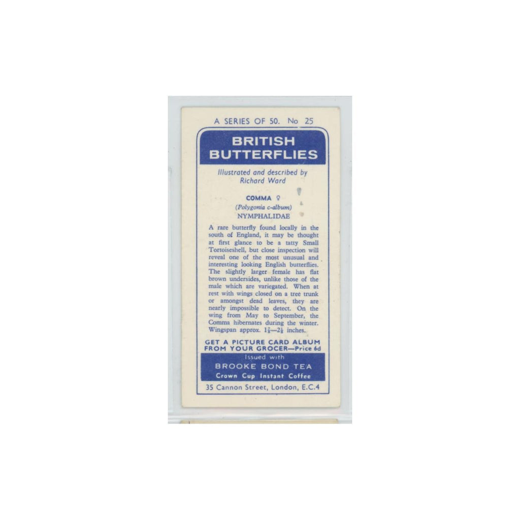 1963 Brooke Bond British Butterflies Comma #25