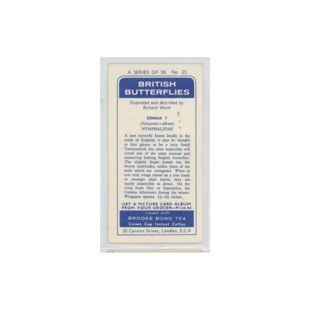 1963 Brooke Bond British Butterflies Comma #25
