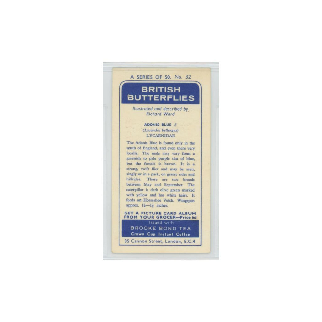 1963 Brooke Bond British Butterflies Adonis Blue #32