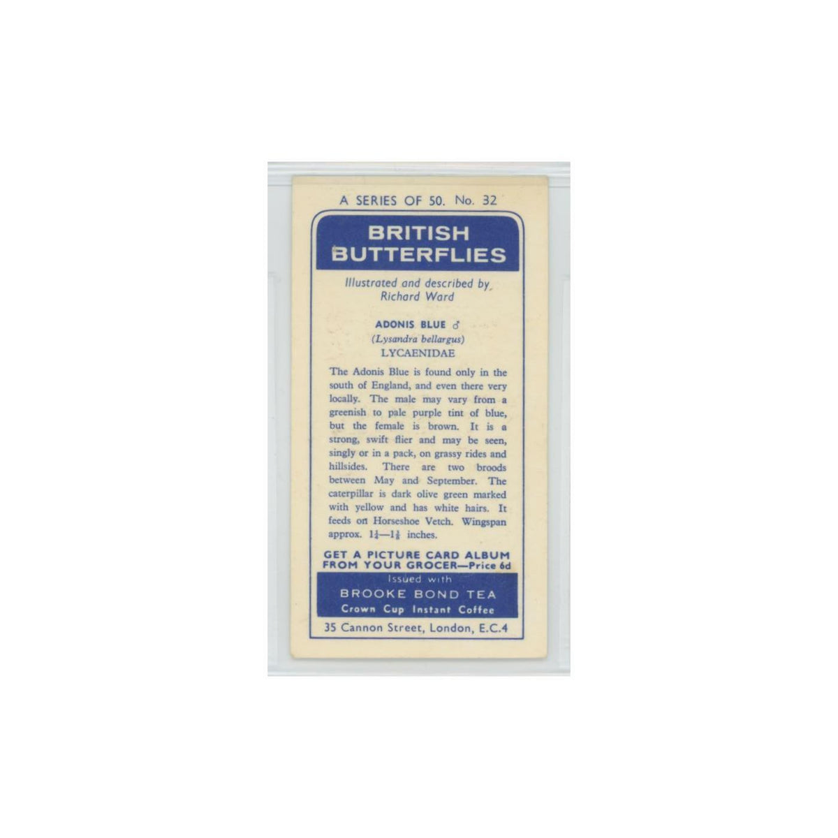 1963 Brooke Bond British Butterflies Adonis Blue #32