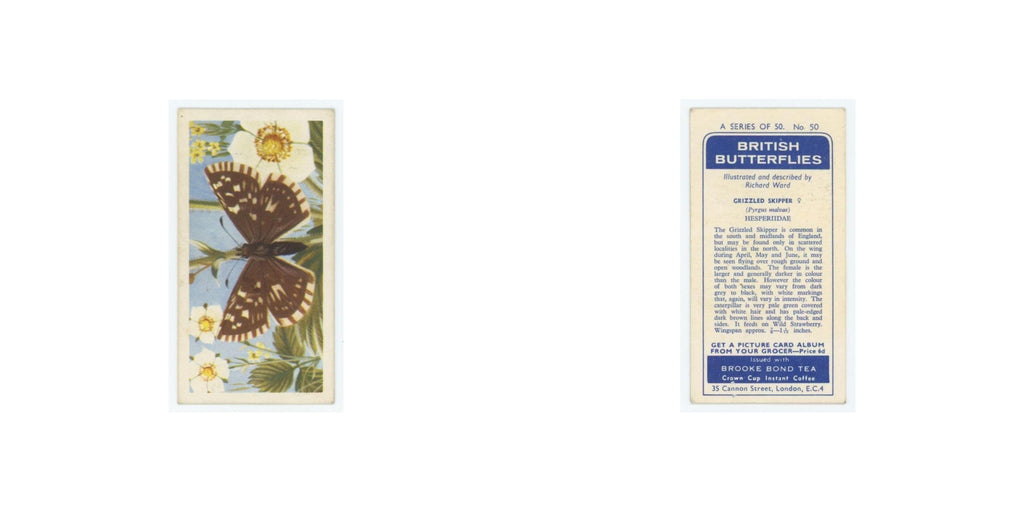 1963 Brooke Bond British Butterflies Grizzled Skipper #50