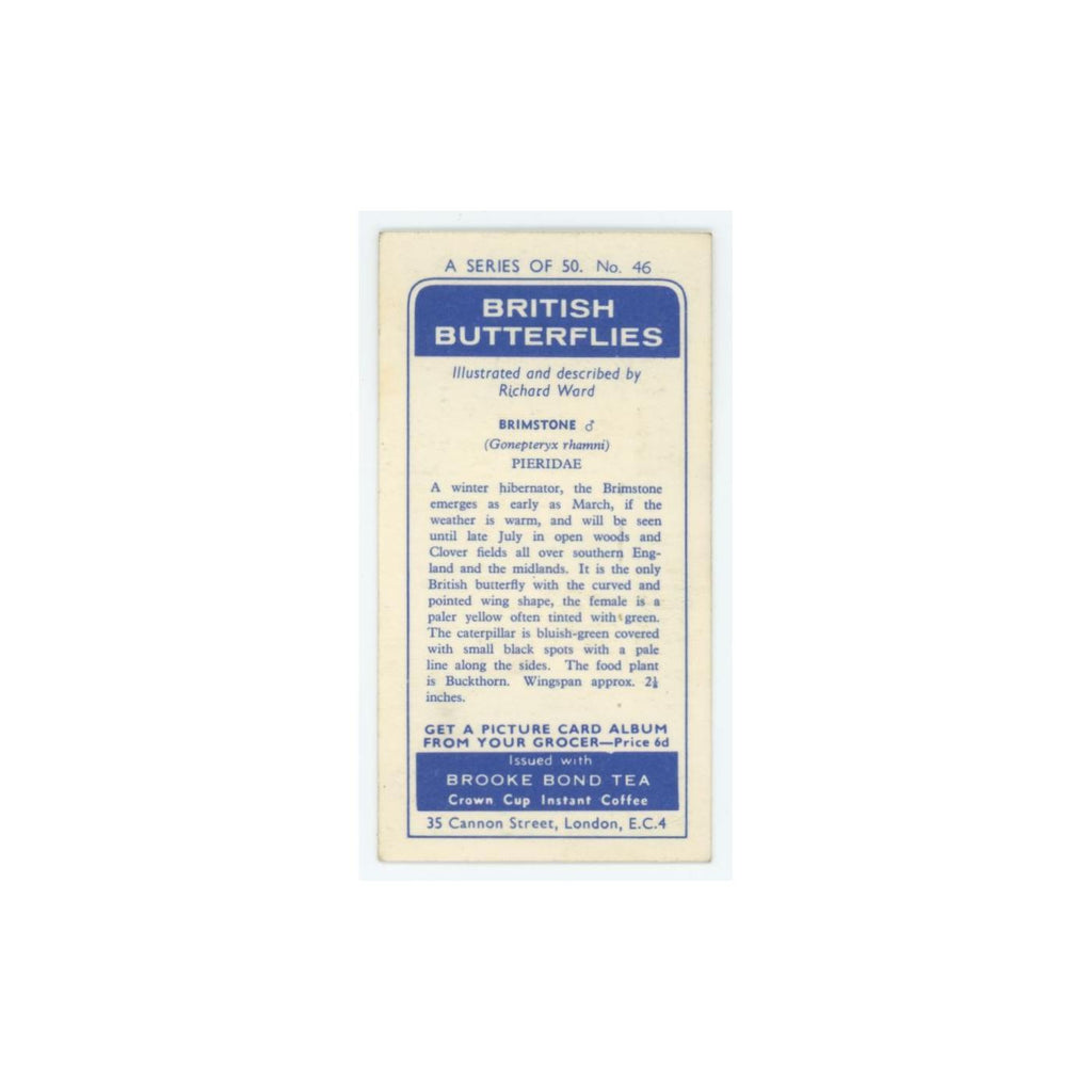 1963 Brooke Bond British Butterflies Brimstone #46