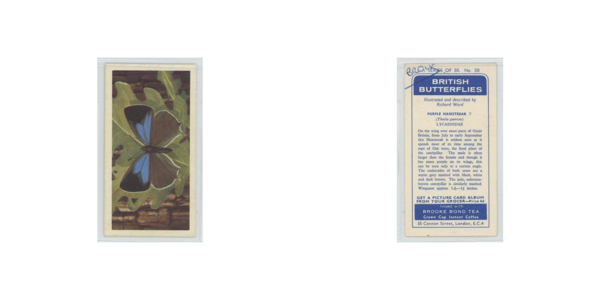 1963 Brooke Bond British Butterflies Purple Hairstreak #38