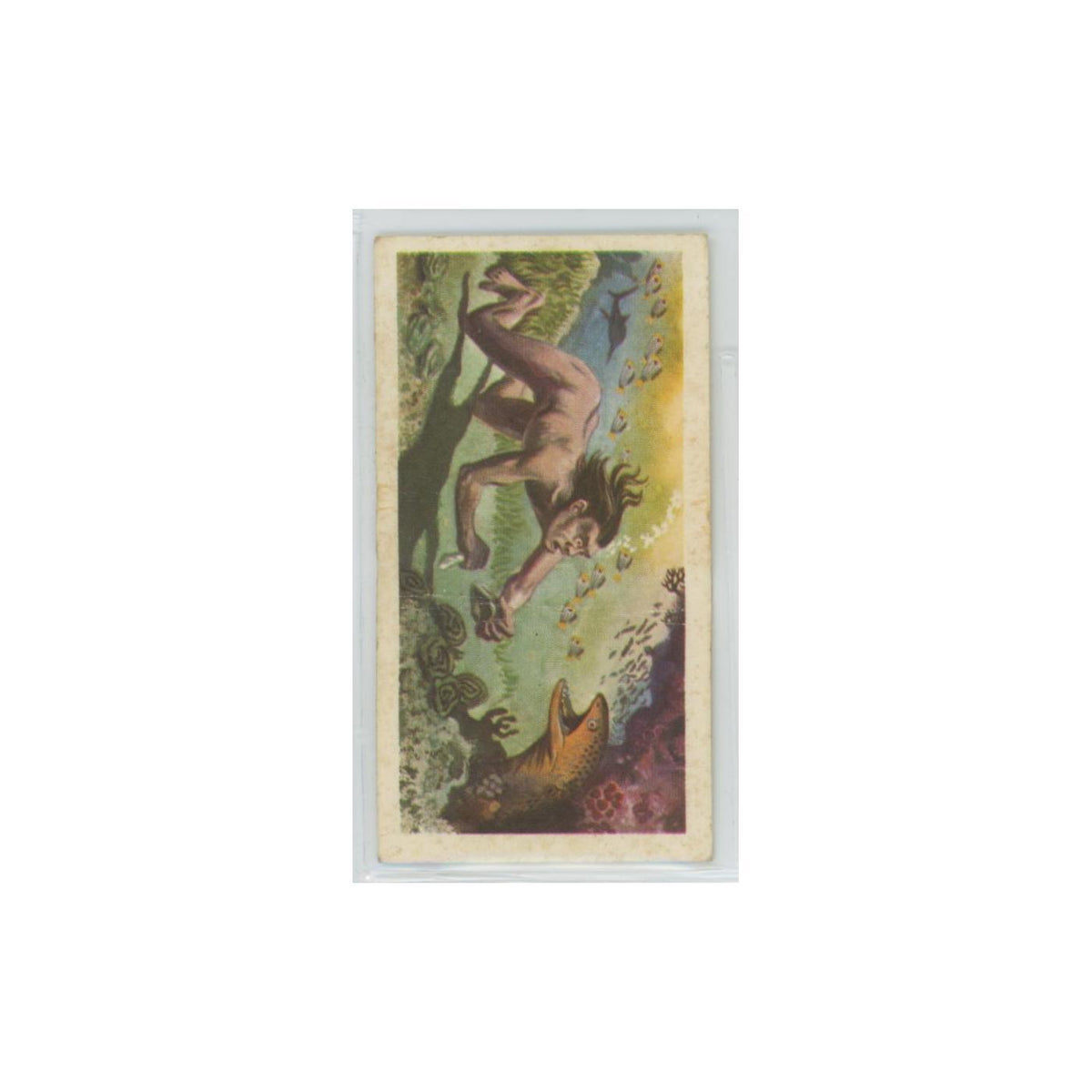 1974 Brooke Bond The Sea Our Other World Naked Divers #1