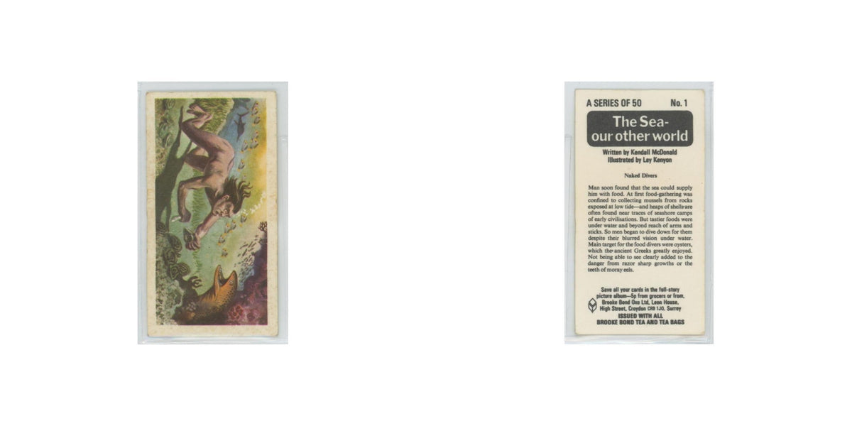 1974 Brooke Bond The Sea Our Other World Naked Divers #1